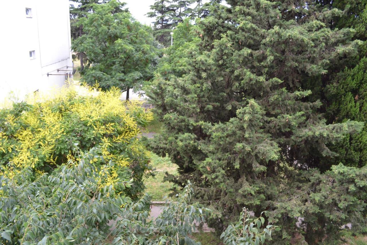 Good Vibes Apartment Zadar Exterior foto